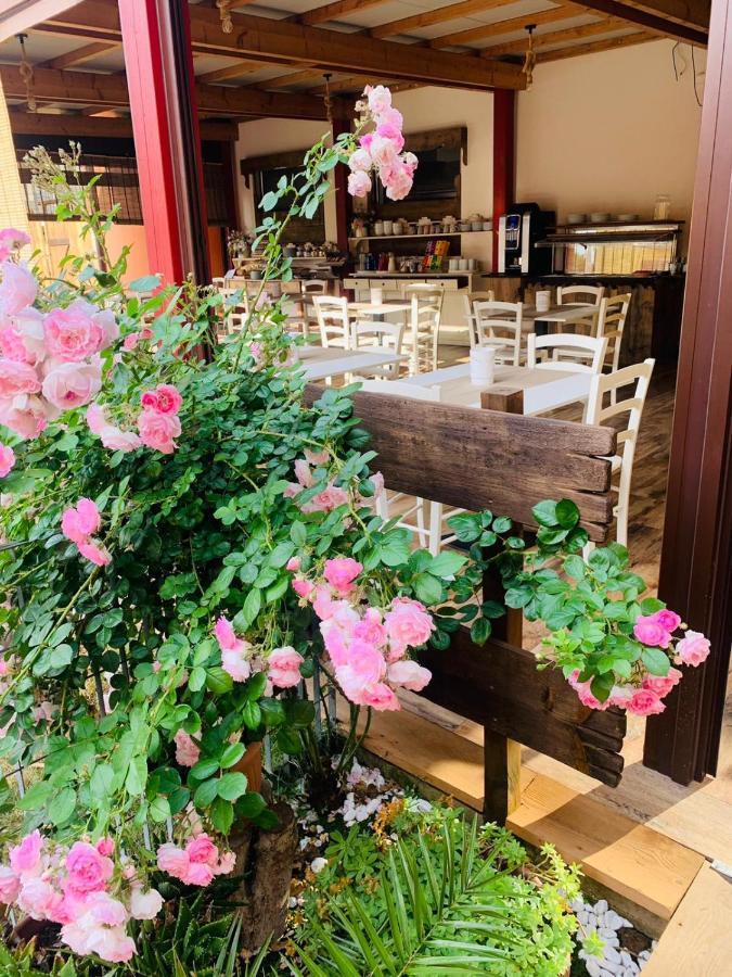 Villa Camporosso Cola  ภายนอก รูปภาพ
